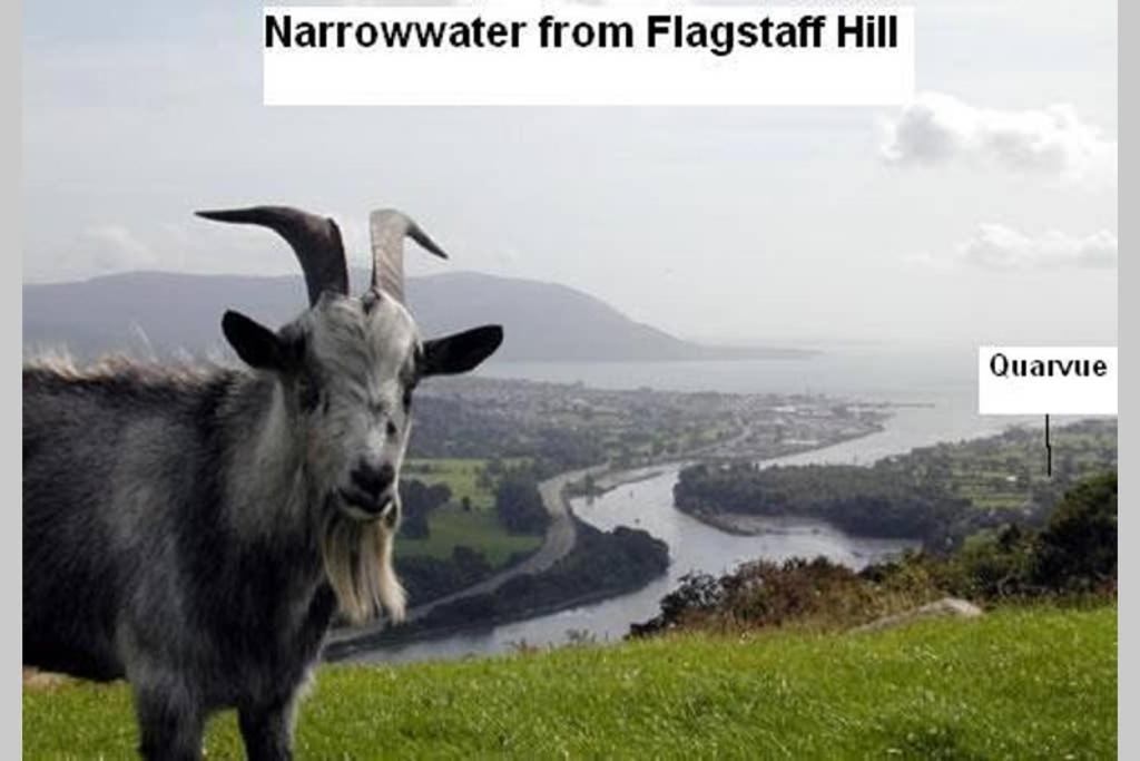 Quarvue Farmhouse, Unique House With Views Of Mournes And Cooleys O Meith Exterior foto